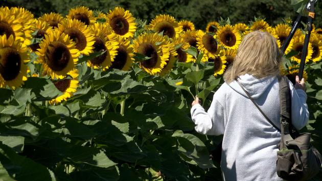 How many days until spring? What to know about the March equinox